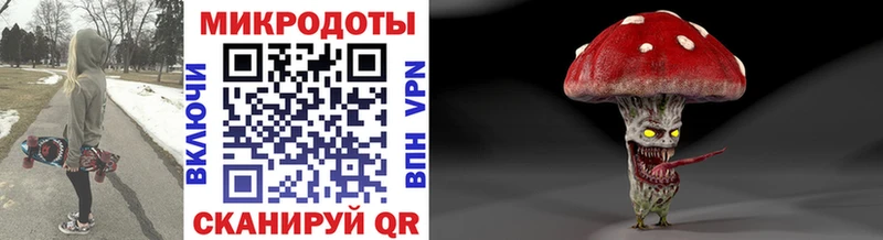 Псилоцибиновые грибы Psilocybe  Купить закладки  Хотьково 
